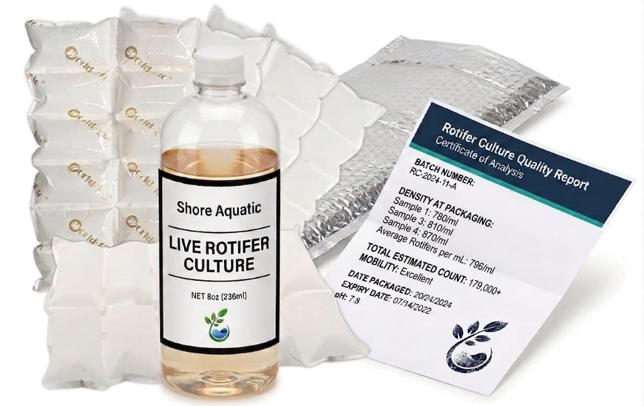Live Marine Rotifers — Shore Aquatic