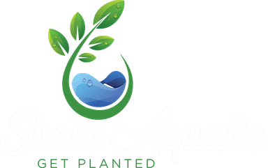 Shore Aquatic