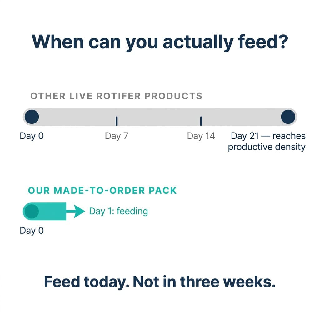 Day Zero advantage timeline comparison: other live rotifer products require 21 days to reach productive density, our made-to-order pack starts feeding on Day 1