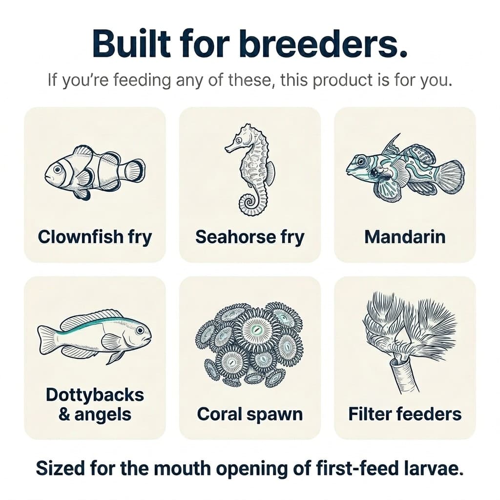 Six species first-feed grid: clownfish fry, seahorse fry, mandarin, dottybacks and angels, coral spawn, filter feeders