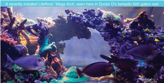 CaribSea – LifeRock  for Aquascapes and Reefs (20 lb box)
