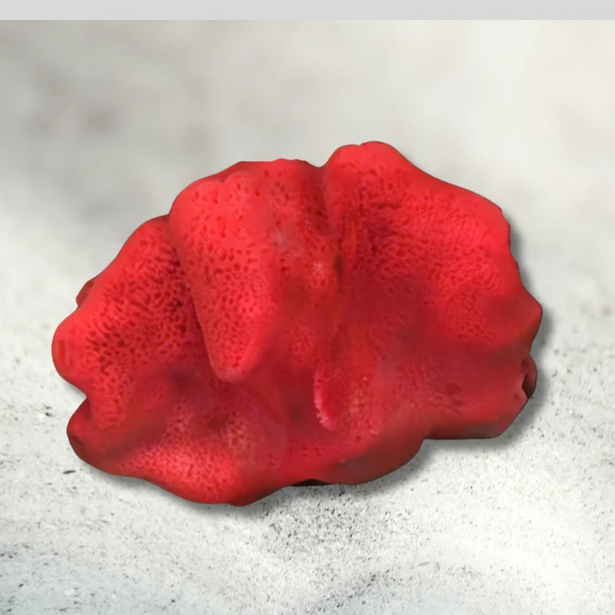 Red Ball Sponge Atl (Medium/Large)